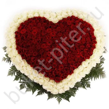 Композиция из 301 розовой и красной розы в форме сердца